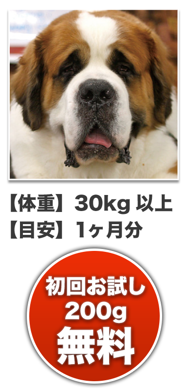 膵炎 食事療法食フード 犬心